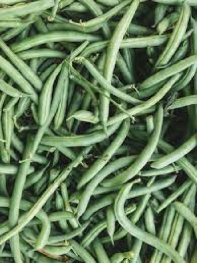 Green Beans | Unsplash