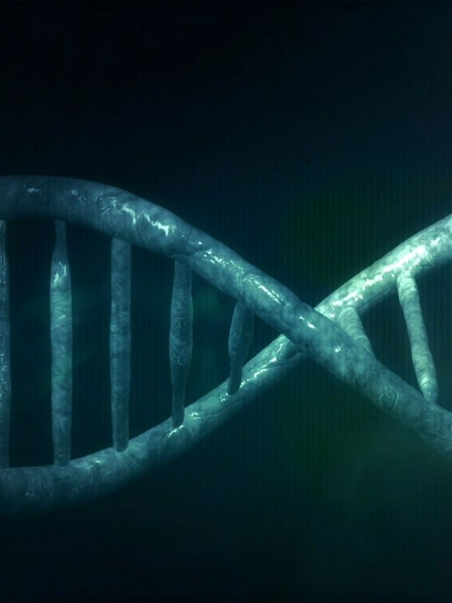 DNA