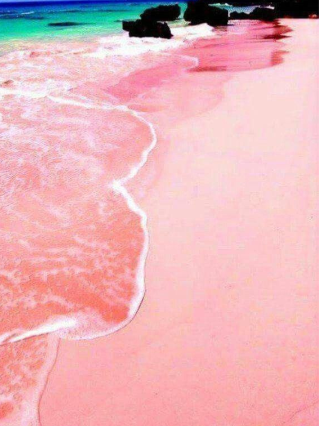  Pink Sands Beach, Bahamas